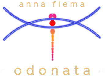 Odonata - Anna Fiema